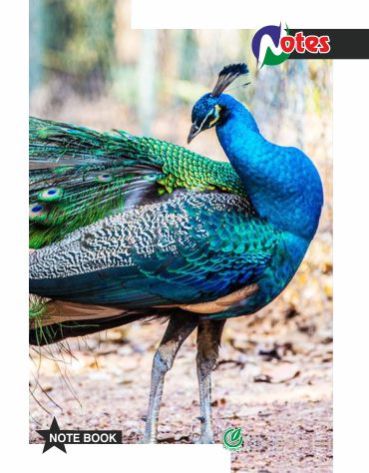 17cm X 23cm Notes Notebook 02