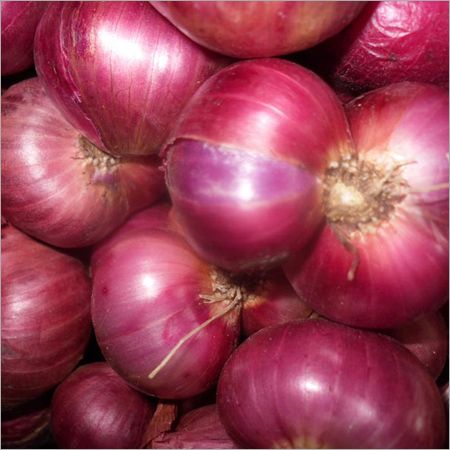 Fresh Red Onion 02