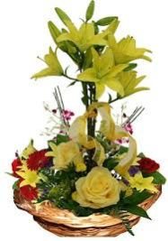 Flower Basket 03