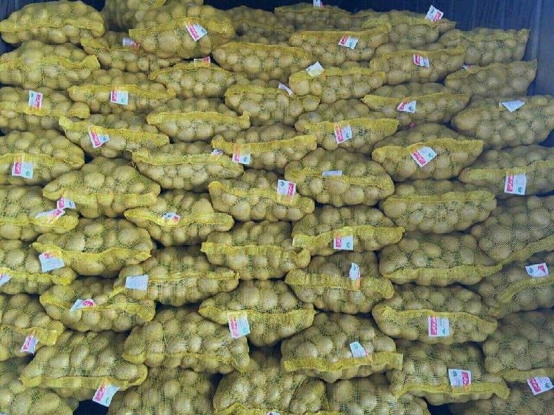 Fresh Potato 01