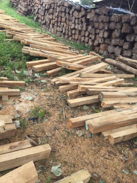 Benin Teak Wood Square Log 02