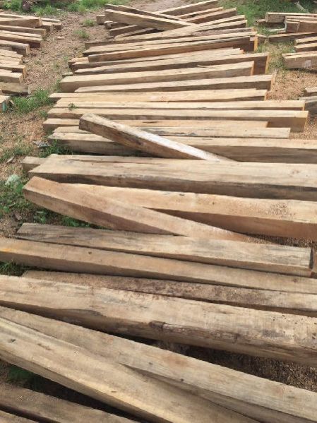 Benin Teak Wood Square Log 04