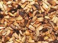 Sun Dried Chicory 01