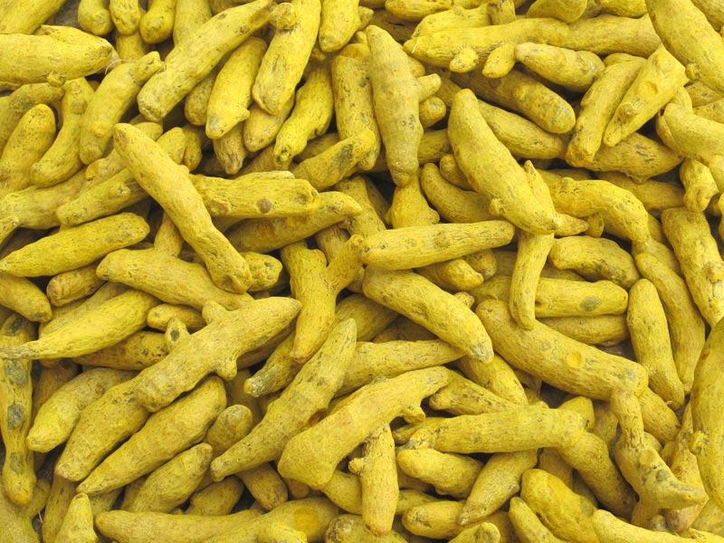 Turmeric Finger 02