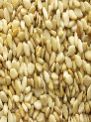 Indian Oil Seeds 01