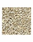 Indian Oil Seeds 03
