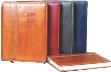 AMS 2018-001 Diaries