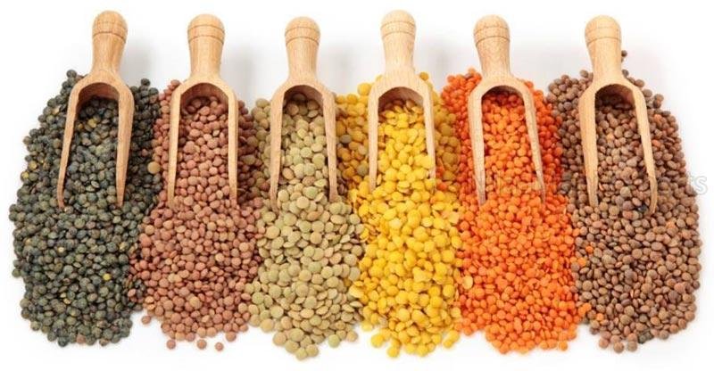 Indian Pulses 01