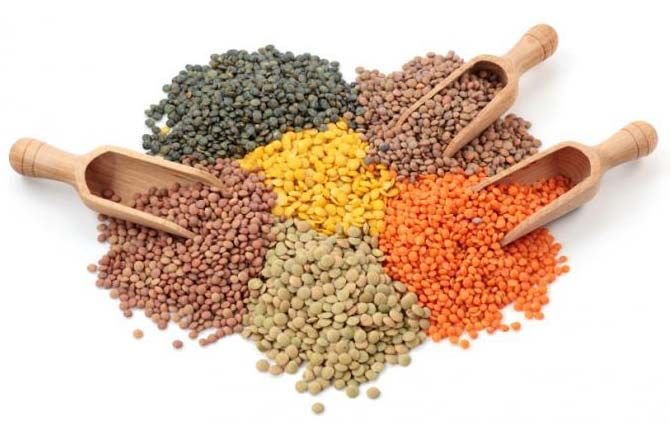 Indian Pulses 03
