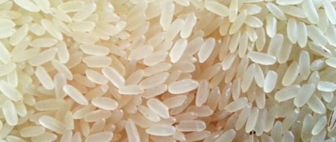 Non Basmati Rice 01
