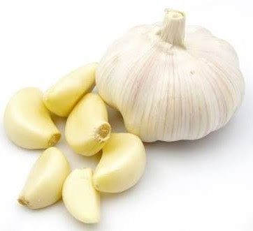 Fresh Garlic 01