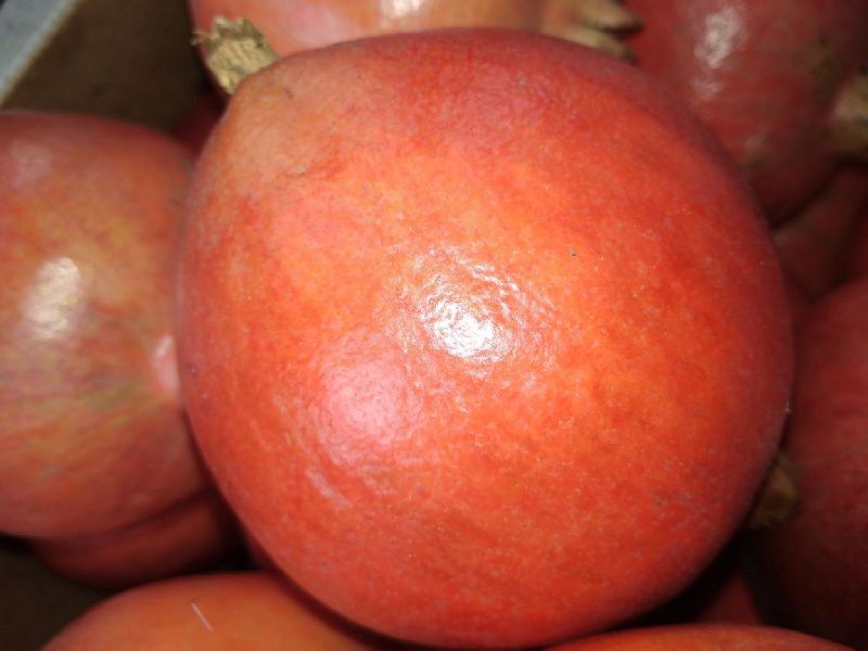 Pomegranate 02