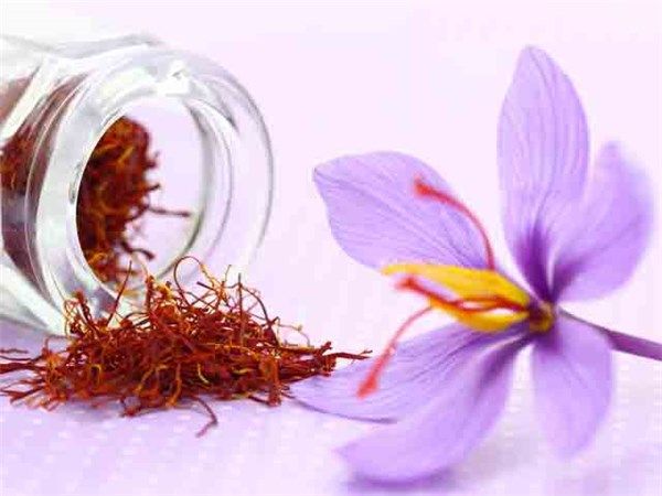 Saffron Threads 03