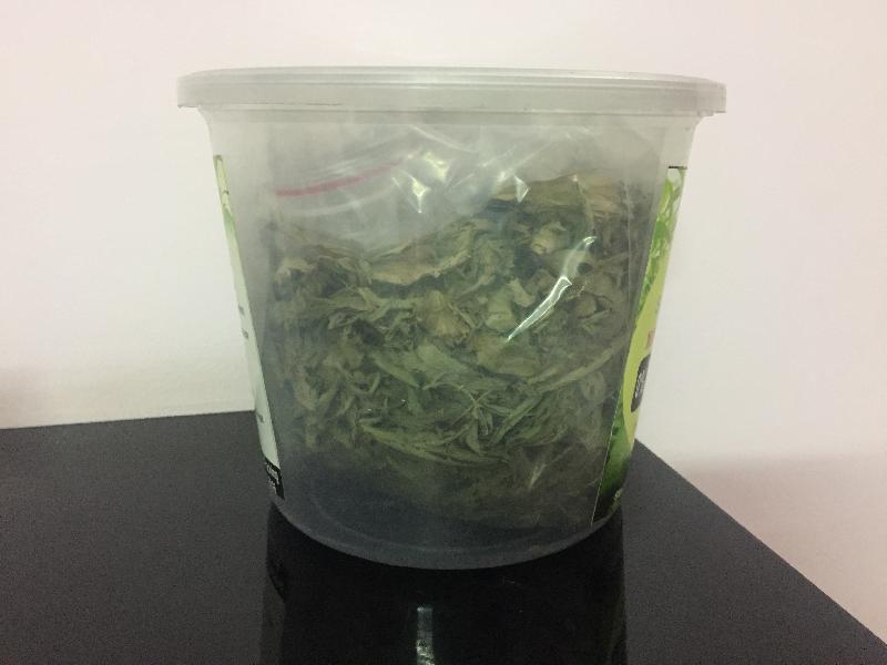 Dried Stevia Leaves 04