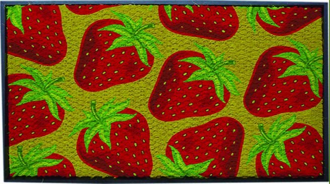 Printed Rubberised Coir Mat (LE-87267)