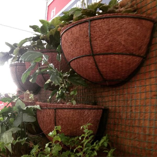 Wall Hanging Coco Planter 01