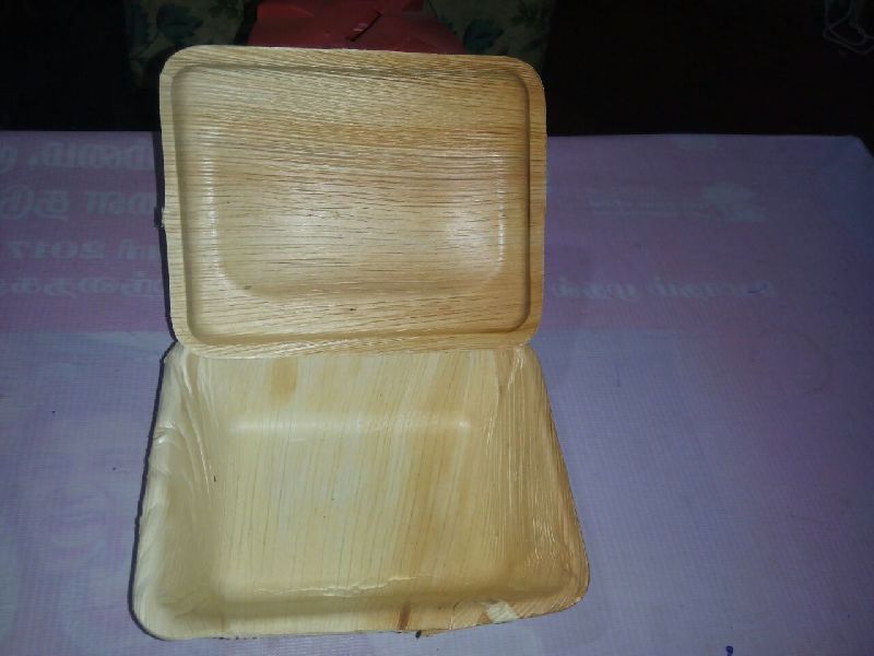 Areca Leaf Plate 04