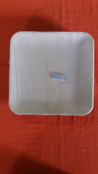 Disposable Paper Plate 03