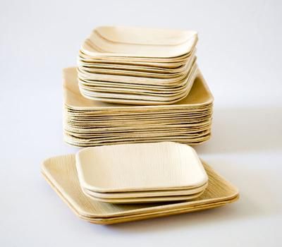 Palm Leaf Plates 02