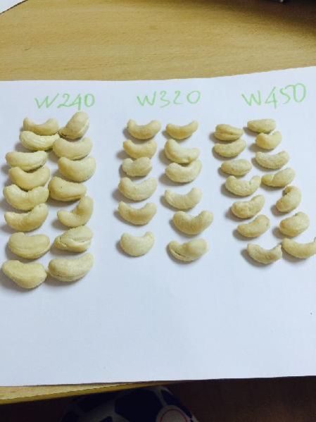 Cashew Nut Kernel 01