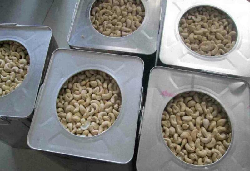 Cashew Nut Kernel 03