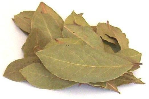 Dried Bay Leaf 01