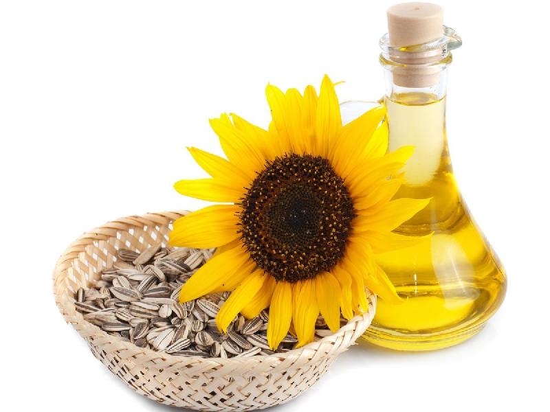 Sunflower Oil 02