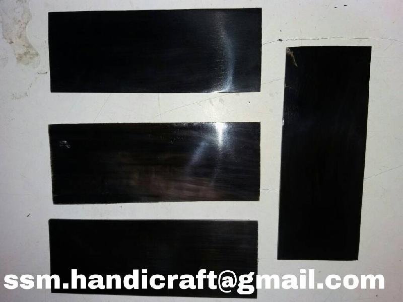 Buffalo Horn Plate 02