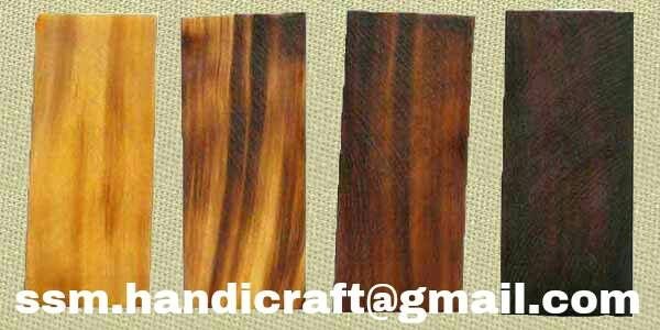 Buffalo Horn Plate 04