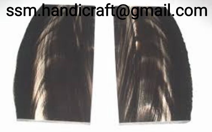 Buffalo Horn Plates 06