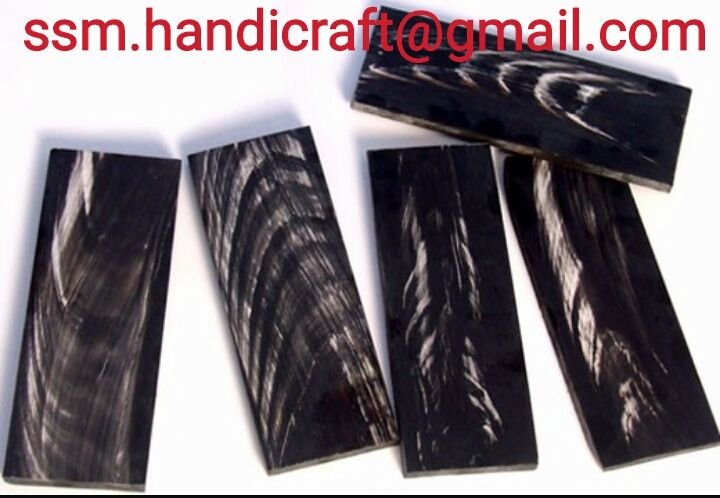 Buffalo Horn Plates 11