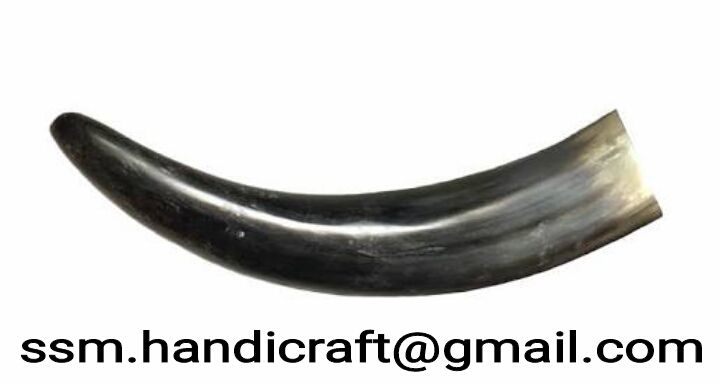 Cow Horn