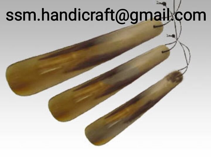 Cow Horn Shoe 02