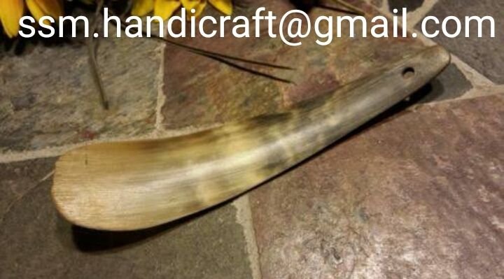 Cow Horn Shoe 05