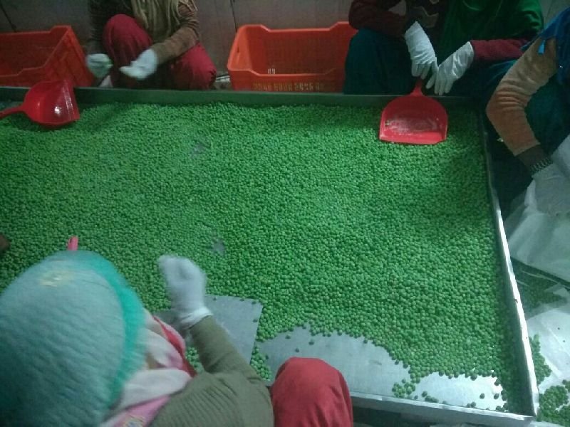 Frozen Green Peas 02