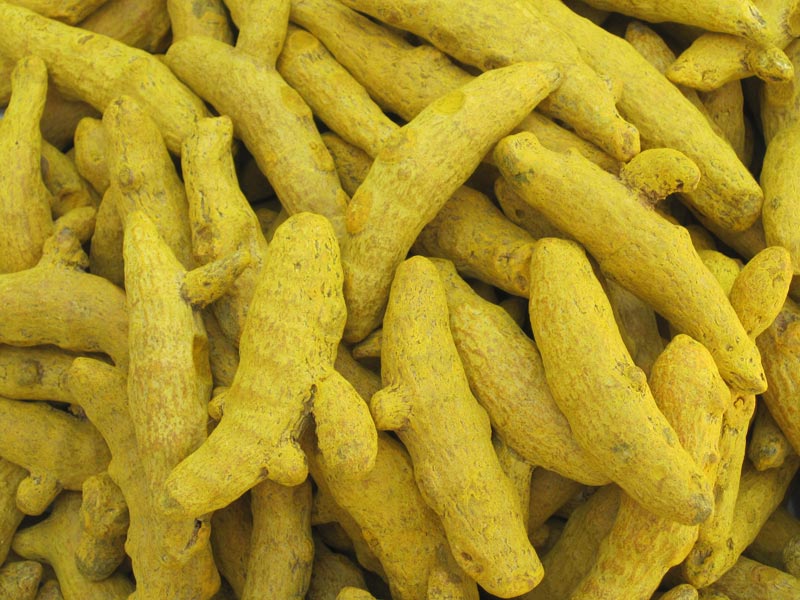 Turmeric Finger 02