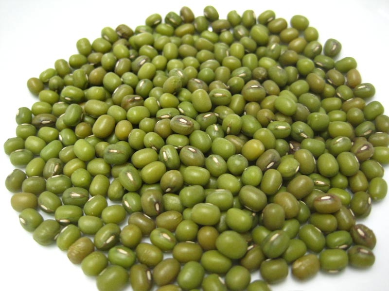 Mung Beans 01