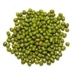 Mung Beans 02