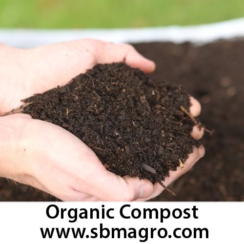 Organic Compost