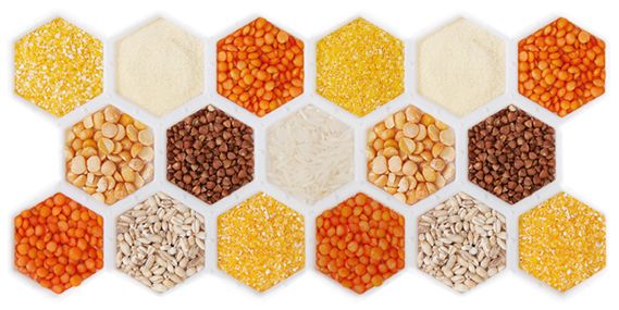 Cereal Grains 02