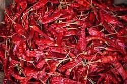 Dried Red Chilli