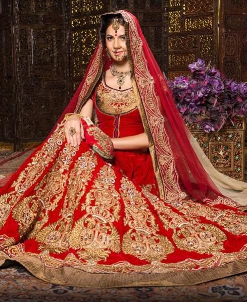 Wedding Sarees 05