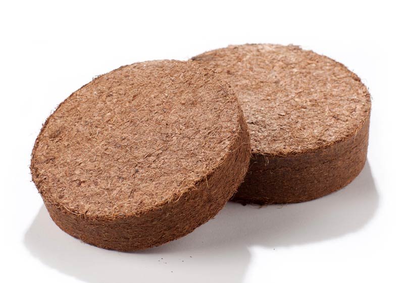 Coco Peat Disc