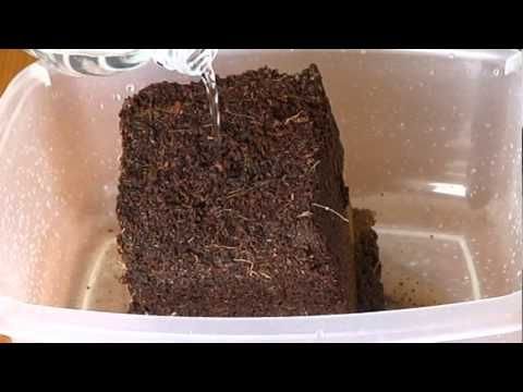 Coco Peat 03