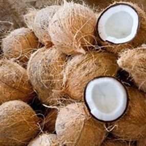 Fresh Coconut 03
