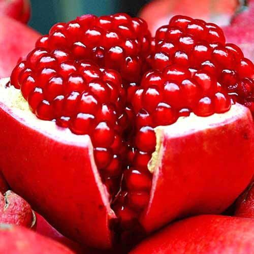 Fresh Pomegranate 04