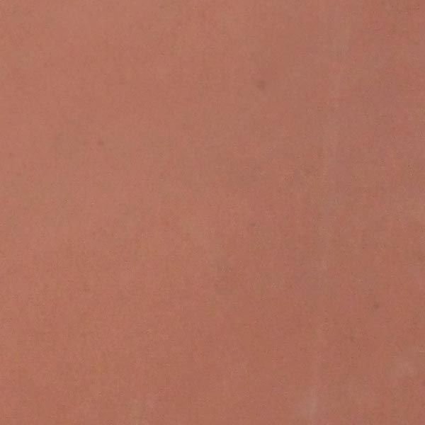 Agra Red Sandstone 02