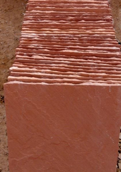 Agra Red Sandstone 05