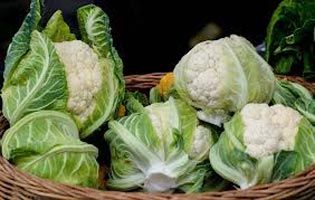 Fresh Cauliflower 02