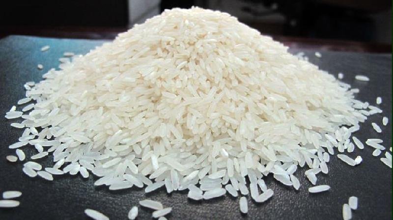 Non Basmati Rice 02
